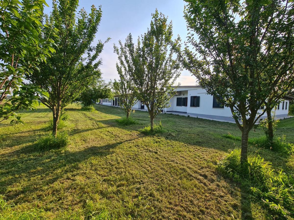 Agriturismo Ca Novak Venezia สปิเนอา ภายนอก รูปภาพ