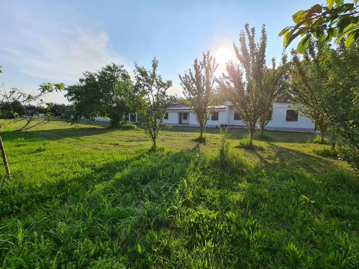 Agriturismo Ca Novak Venezia สปิเนอา ภายนอก รูปภาพ